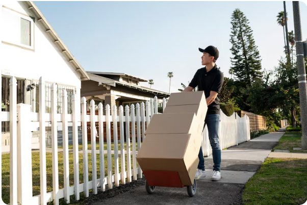 Movers Movers
